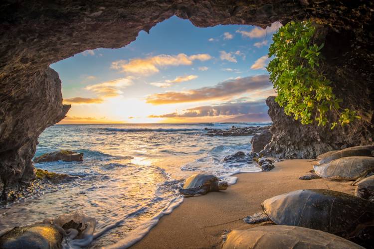 Maui Beach