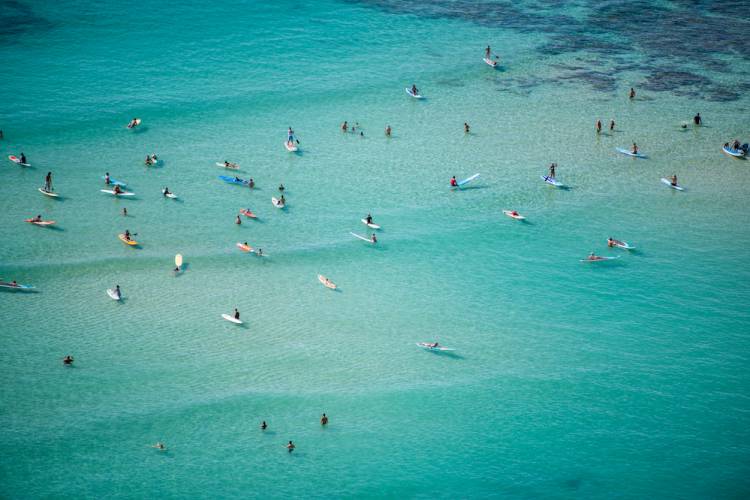 aerial view of people on surf boards in hawaii