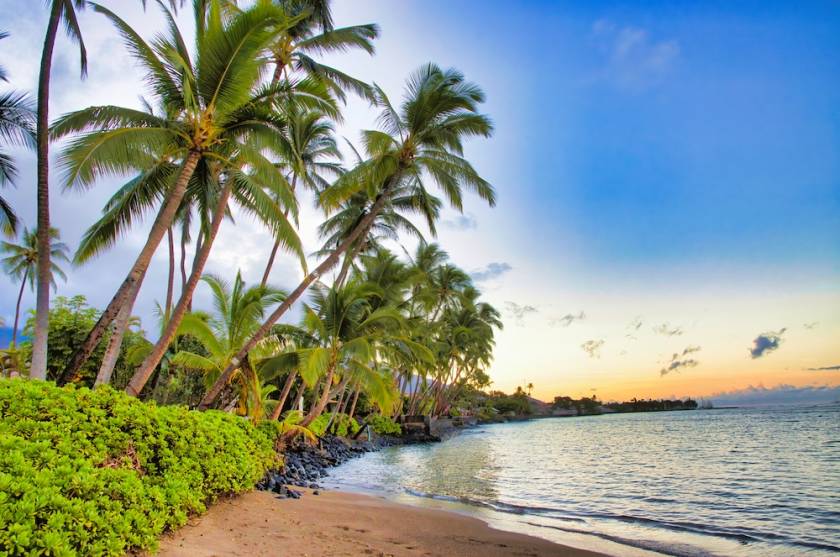 Maui beach with view of palm trees near water