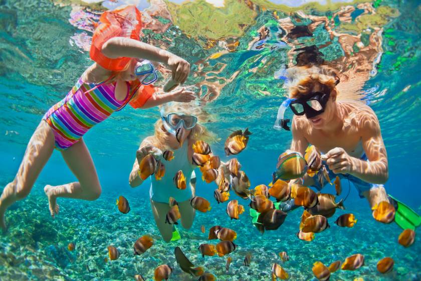 family snorkeling